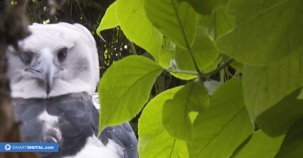 Un romance en cautiverio: la 