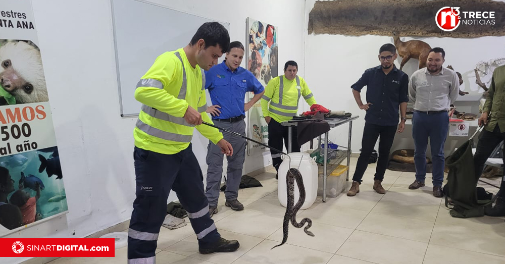 200 animales han sido rescatados de no ser atropellados en la Ruta 27 