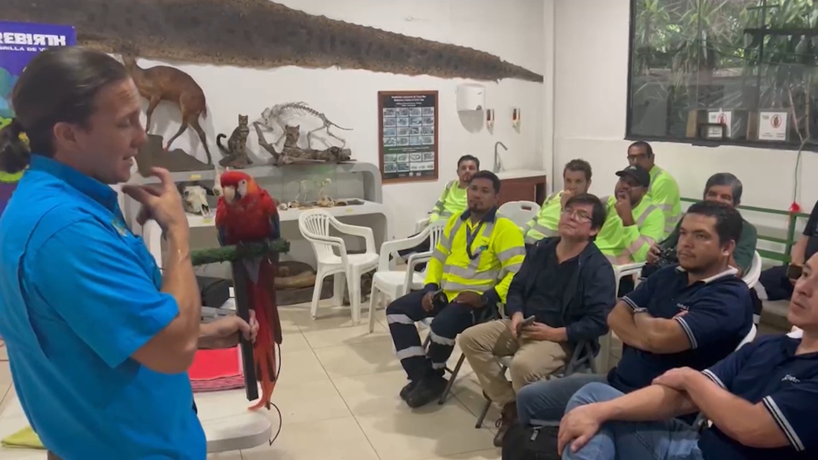 Recomendaciones clave si se encuentra fauna silvestre en la vía