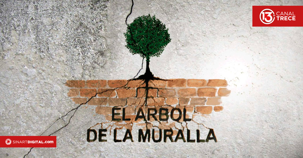 Cine Retrospectivo: El árbol de la muralla Cine Retrospectivo: El árbol de la muralla