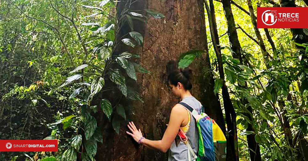 Turismo de bienestar apuesta por la biofília para generar conexiones con la vida