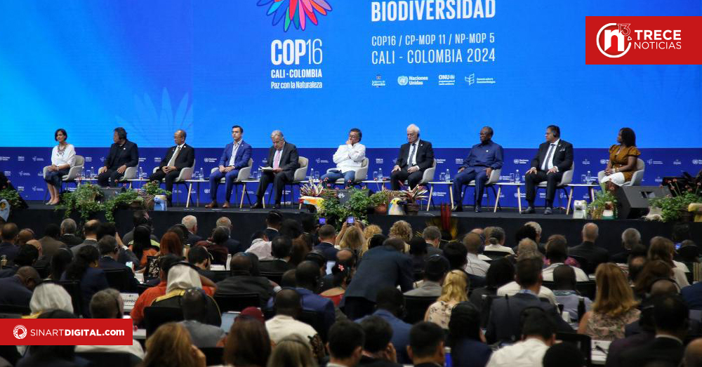 El mundo adopta un plan de última hora en la COP16 de Roma para financiar la biodiversidad