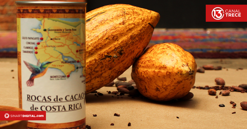 El cacao | Dominio Documental