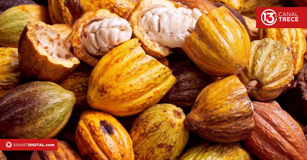 La Mona Golosa: chocolate artesanal con alma criolla