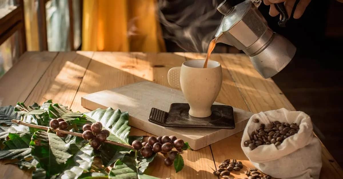 En el Día Internacional del Café, buscarán a los más cafeteros del país