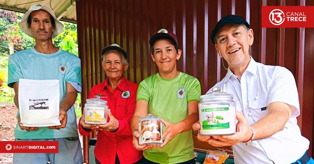 De Siquirres a la mesa: Camburibe transforma tubérculos en harinas saludables