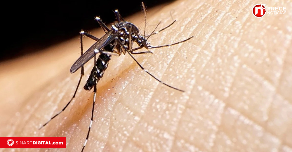 Autoridades hacen campaña contra el dengue en La Carpio