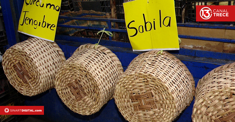 ¿Qué uso se les da a los canastos de coger café?