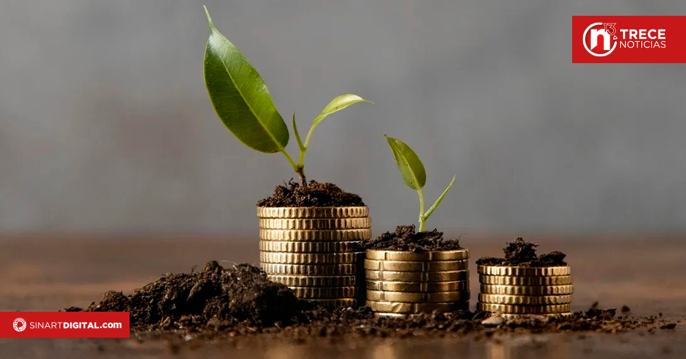 UNED apoyará a emprendedores con capital semilla