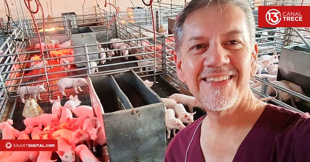 Así es la producción de carne de cerdo en Costa Rica 