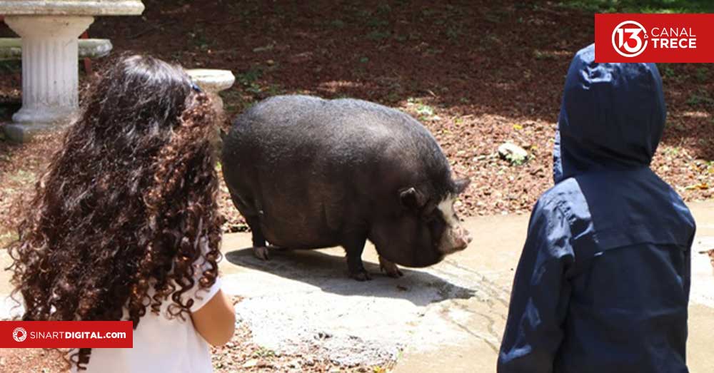 Conozca La Granja del Tío Charlie, un destino para disfrutar en familia