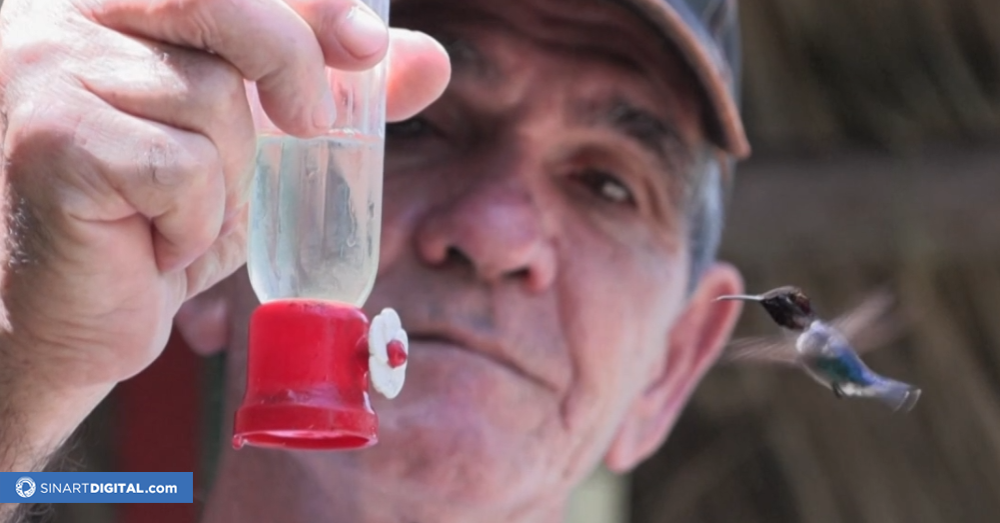 El ave más pequeña del mundo tiene una casa con jardín en Cuba