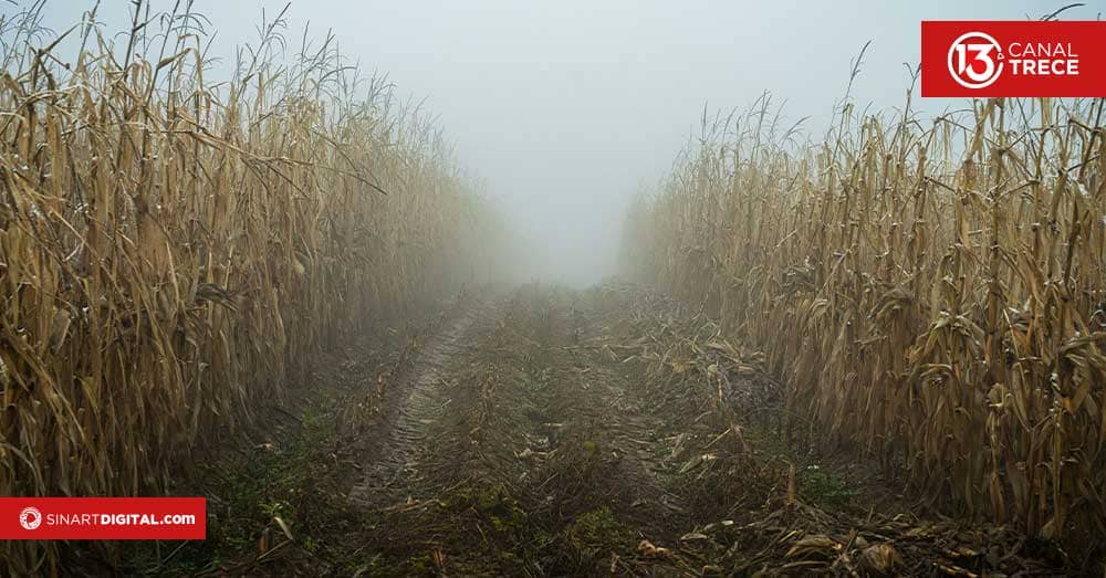 El Niño pone bajo vigilancia el abastecimiento de granos que llegan a Costa Rica