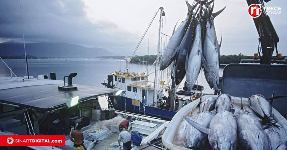 Costa Rica obtiene buena calificación en acciones para atacar pesca ilegal