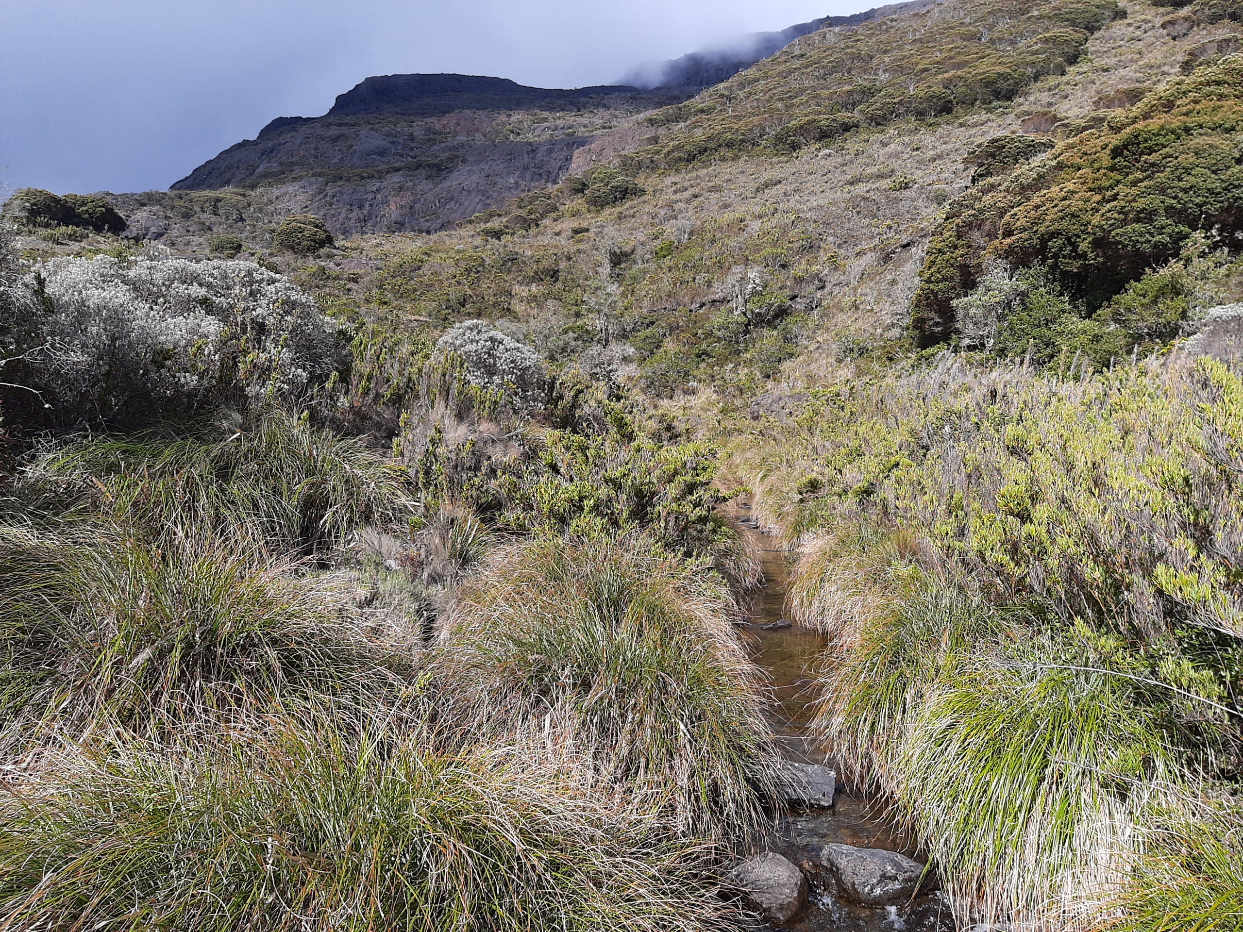 Parques nacionales Chirripó y Volcán Irazú aspiran a reconocimiento internacional