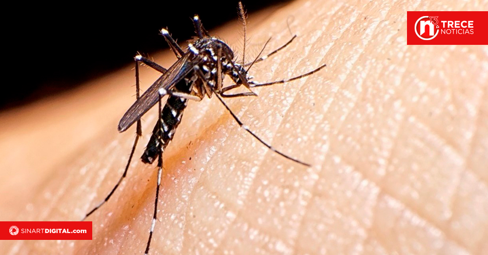 Conozca aquí cuáles son los cantones con más casos de dengue