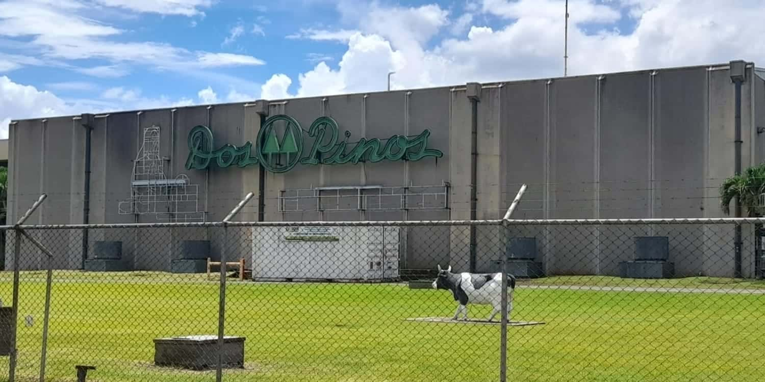 Dos Pinos pierde lucha judicial por comercialización de queso Turrialba