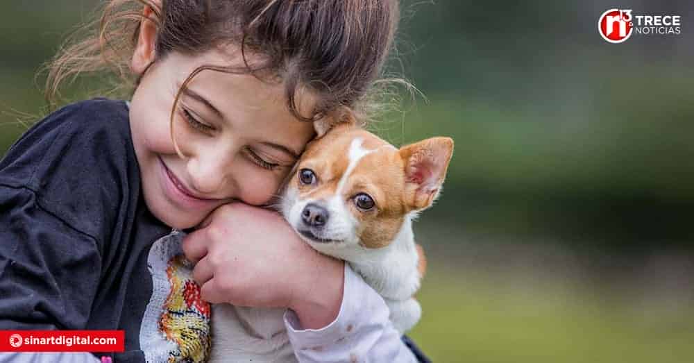 Conciencia y cuidado: Enfermedades zoonóticas que debes conocer