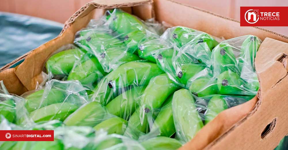 Exportaciones superan los $9.500 millones y crecen 6% en 2026