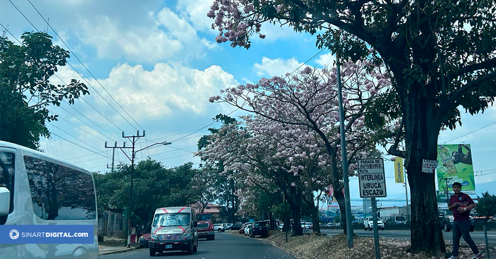 ¿Primavera en Costa Rica? 
