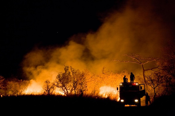 Condiciones secas obligaron a bomberos forestales a adelantar atención 