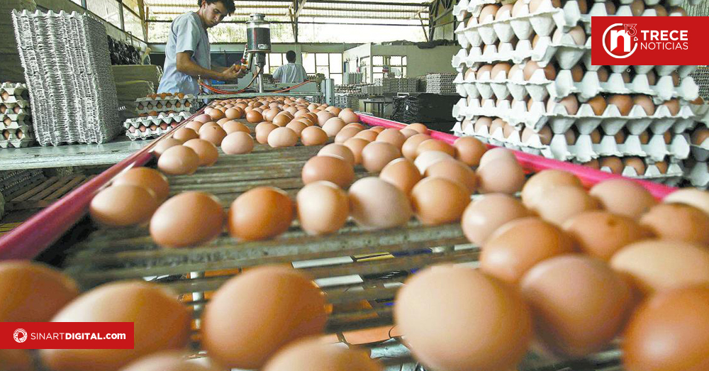 EEUU importa huevos de Corea y Turquía para reducir precios ante la gripe aviar