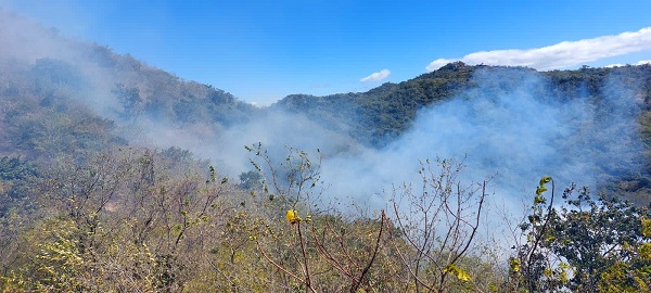 Primer incendio forestal advierte de una posible temporada fuerte