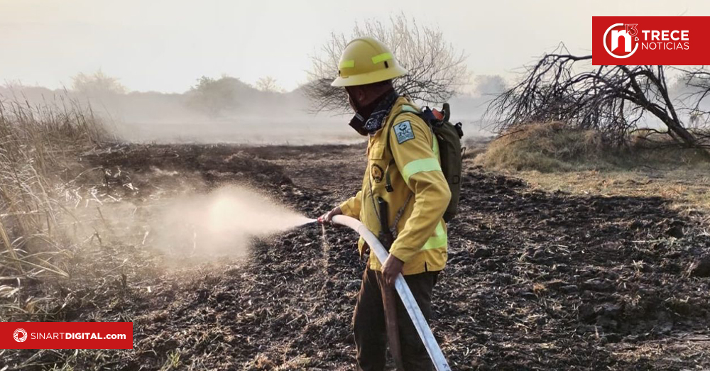 Controlado incendio forestal cerca del Parque Nacional Palo Verde