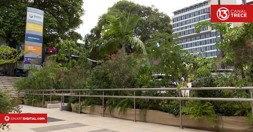 Museo de Oro estrena “Jardín Prestado” en su esplanada 