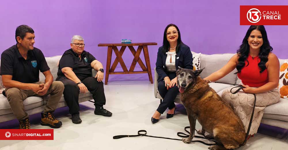 ¿Sabe usted cuales son los requisitos para adoptar un perrito jubilado?