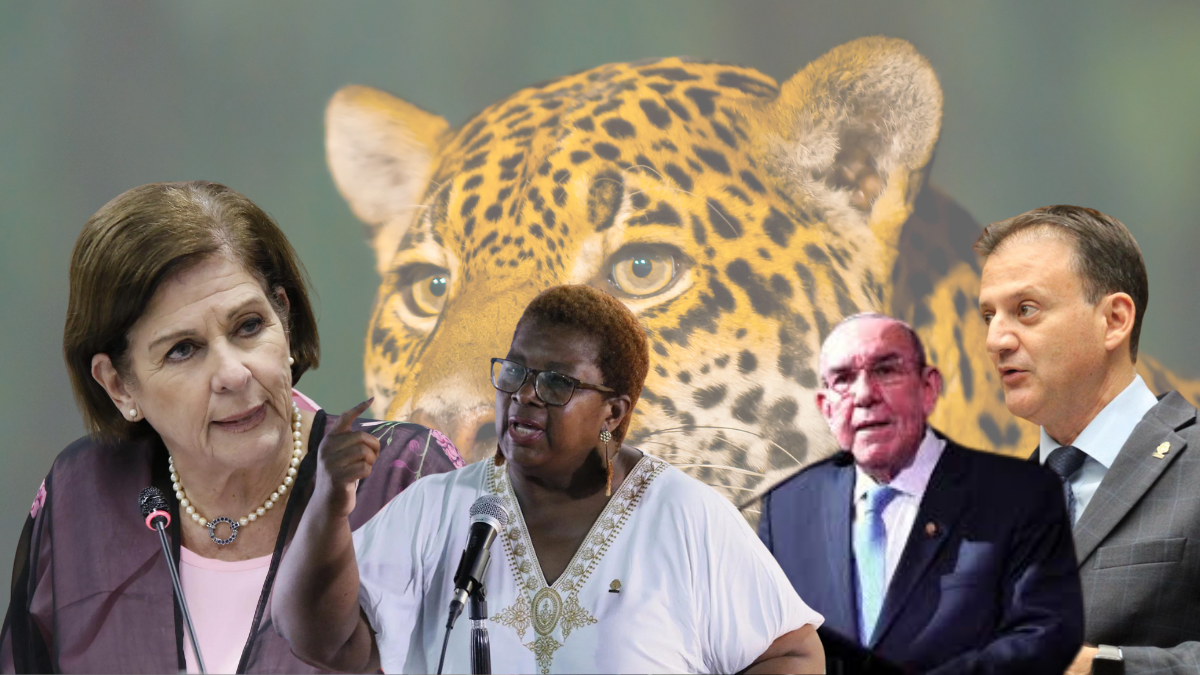Asamblea dividida: Diputados con posiciones distintas para votar decreto de Ley Jaguar