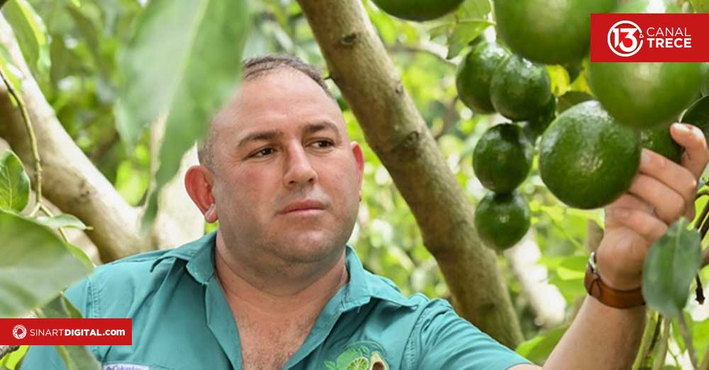Cambió el café por 500 árboles de limón y terminó cosechando una historia de éxito