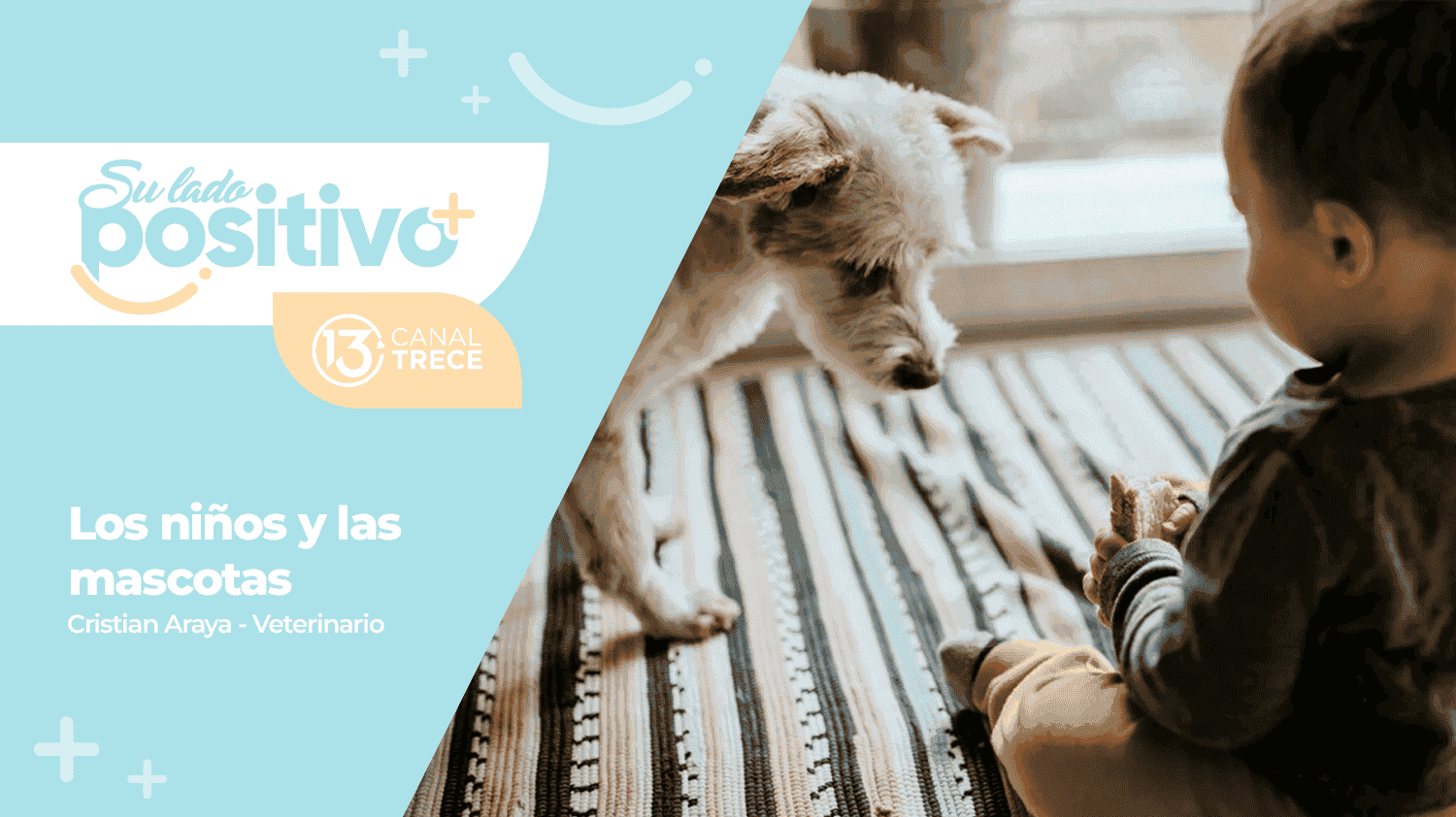 Los niños y las mascotas - Veterinario Cristian Araya