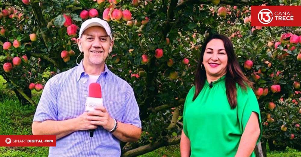 Manzanas de la armonía