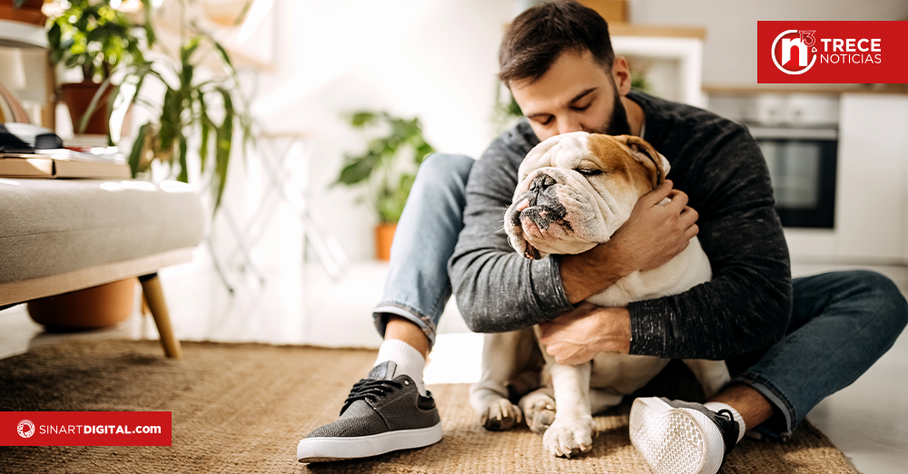 ¿Cómo proteger a su mascota de las alergias?