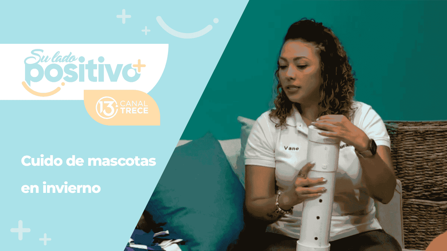 Cuido de mascostas en invierno 