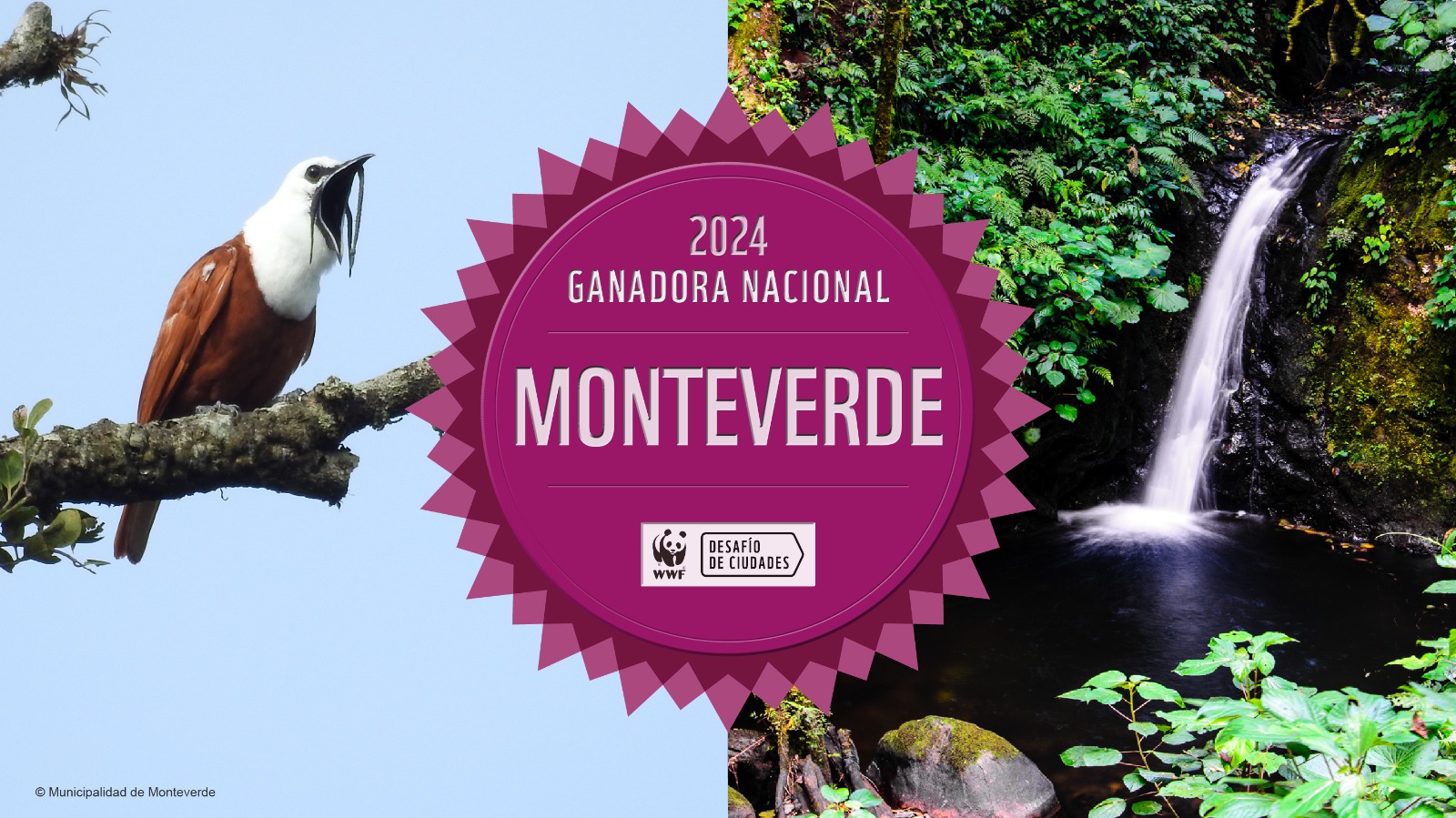 Monteverde gana Desafío de Ciudades de WWF 2024