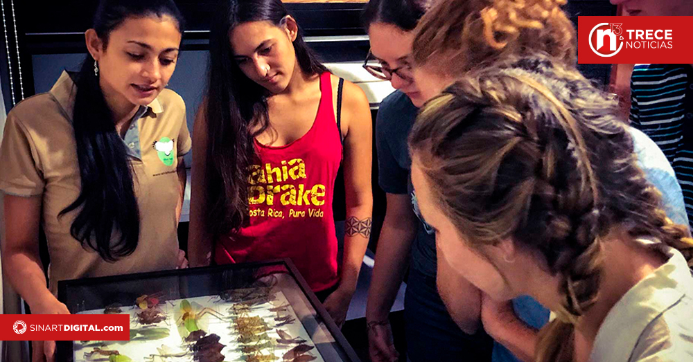 Museos de todo el país celebran su día con actividades gratuitas 