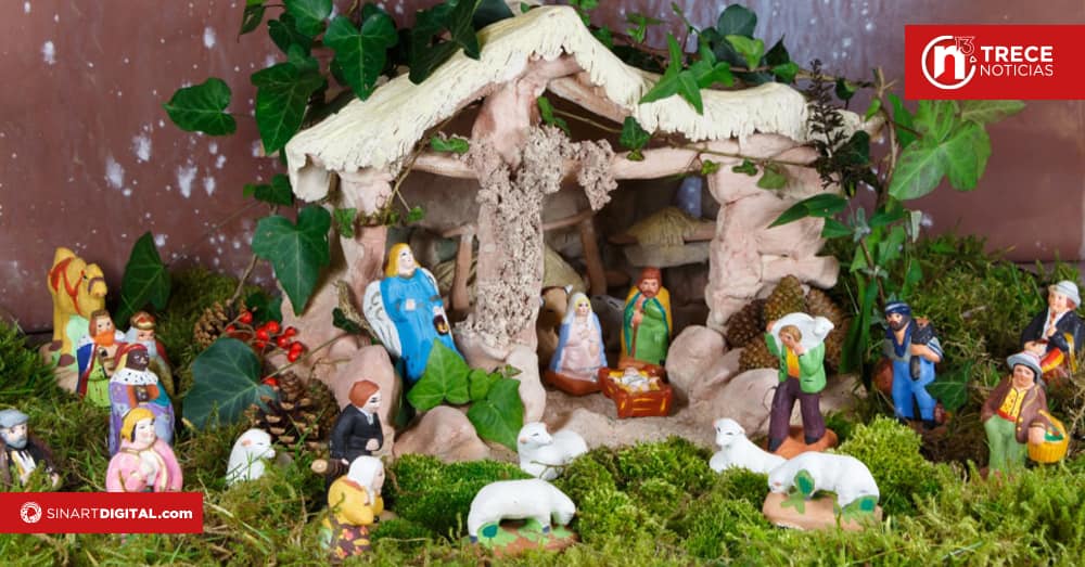 Comprar o vender lana o musgo podría salirle muy caro 