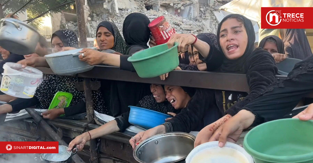 Más de 100 ONG advierten de 