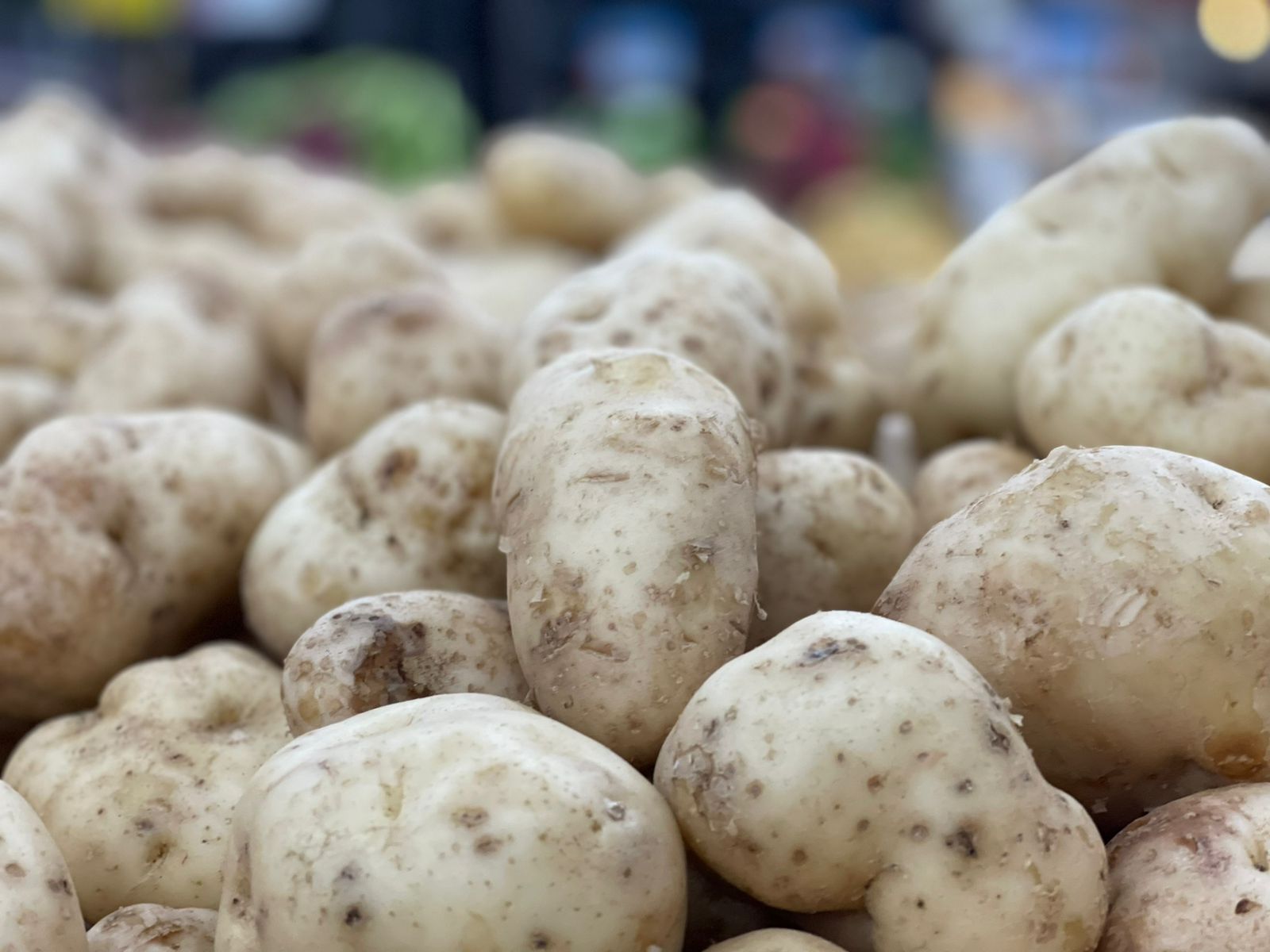 Prepárese para la Feria del Agricultor este fin de semana 