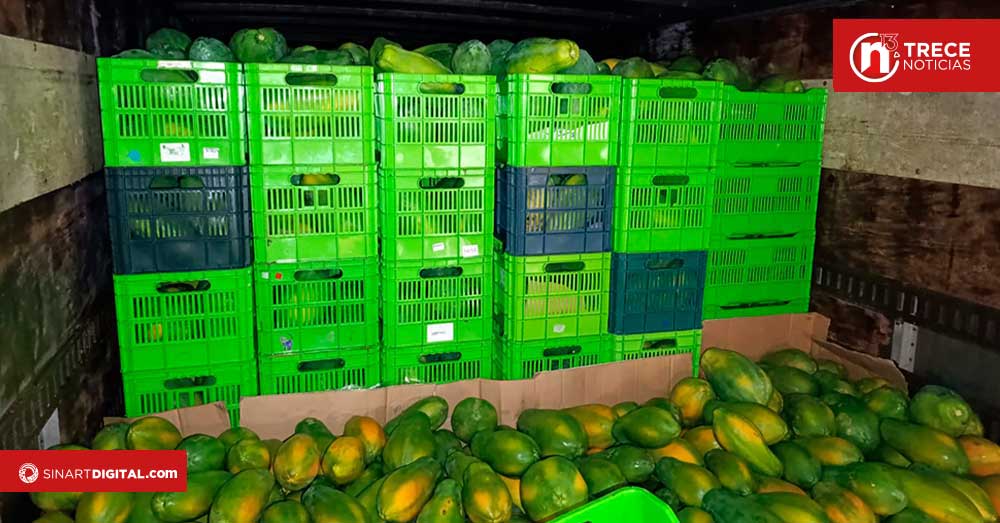 Decomisan papayas de contrabando en Paso Canoas