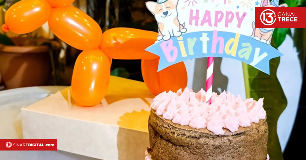 Pastelería Canina y Felina 