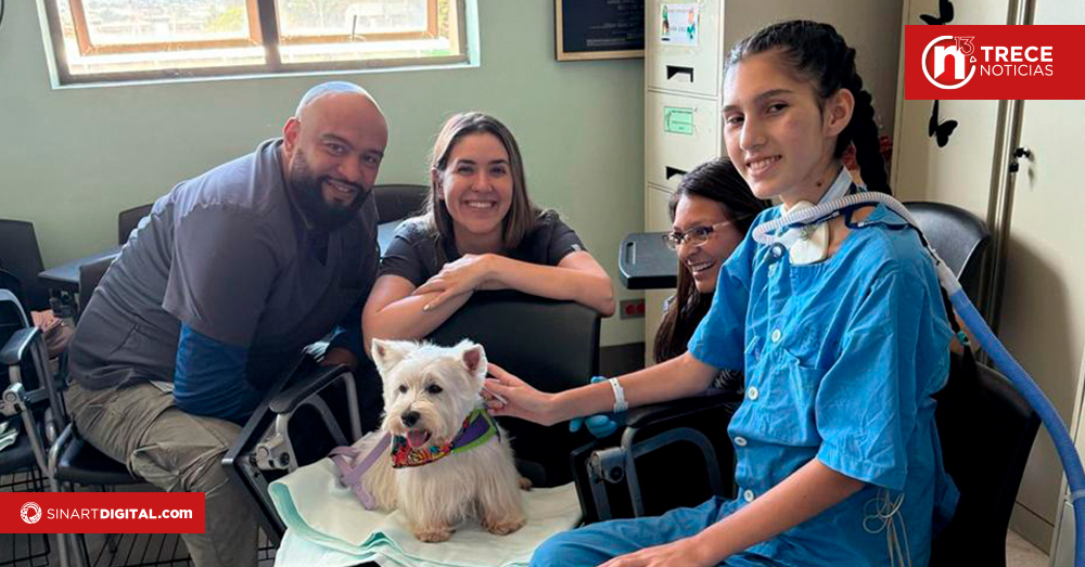 Pacientes de la UCI mejoran con la visita de perros