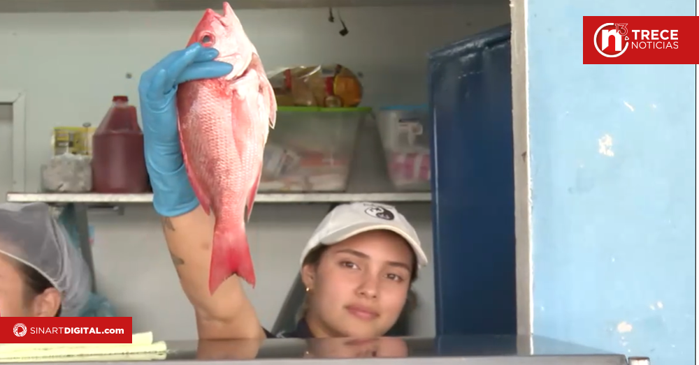 Consejos para comprar mariscos y pescado fresco