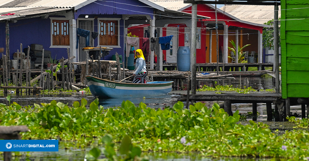 Una planta invasora amenaza con desaparecer un pueblo de pescadores en Colombia