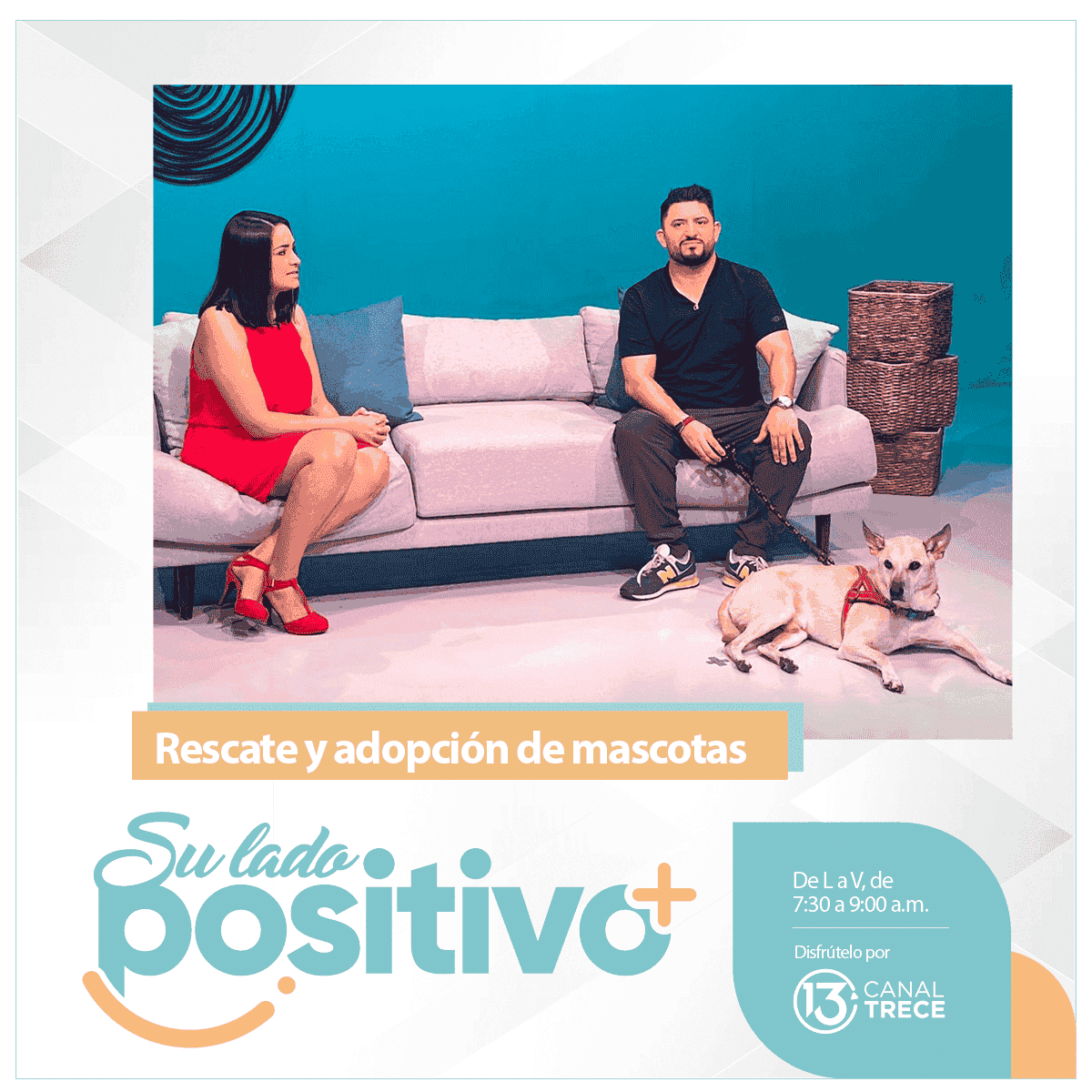 Rescate y adopción de mascotas 