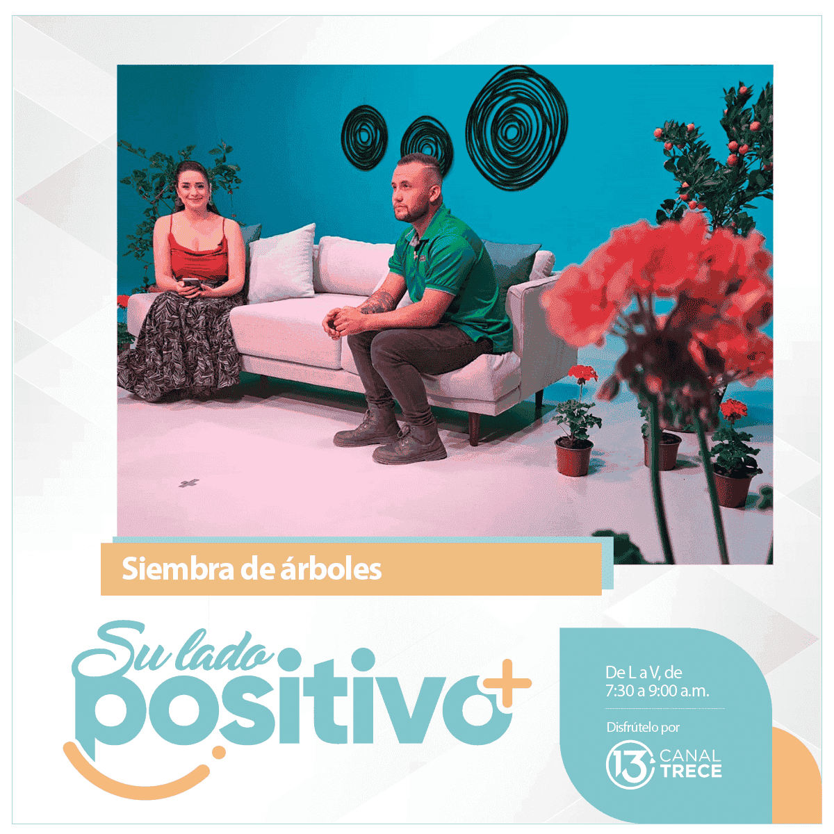 Siembre de árboles en la casa