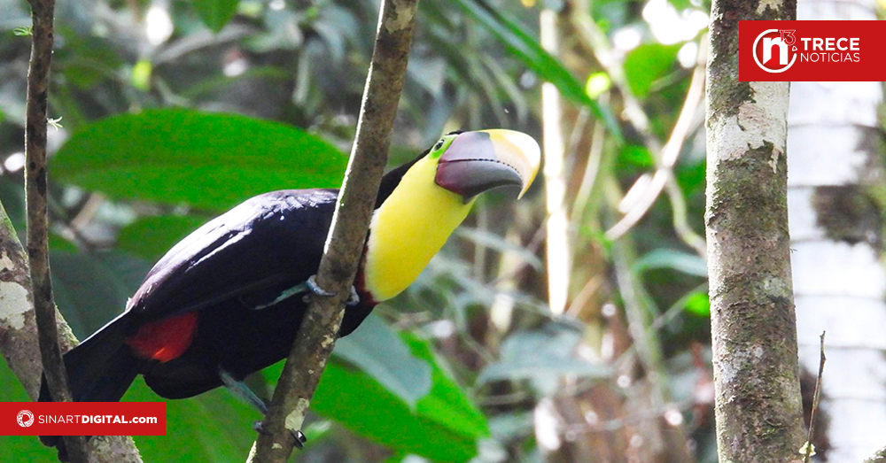Refugio Nacional de Fauna Silvestre Golfito festejó 40 años 