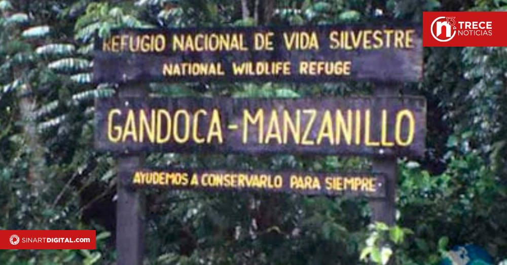 Sala Constitucional suspende concesiones en Gandoca-Manzanillo para evitar daños ambientales